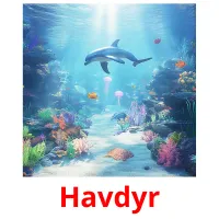 Havdyr cartes flash