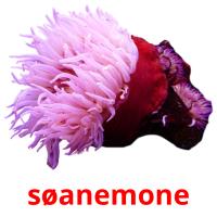 søanemone card for translate