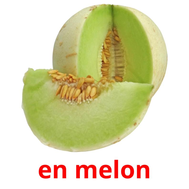 en melon picture flashcards