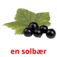 en solbær Bildkarteikarten