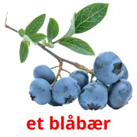 et blåbær Bildkarteikarten