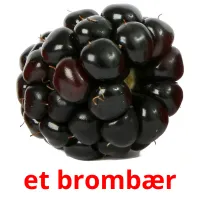 et brombær Bildkarteikarten