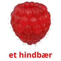 et hindbær Bildkarteikarten