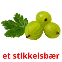 et stikkelsbær Bildkarteikarten