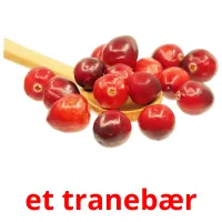 et tranebær Bildkarteikarten