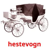 hestevogn Bildkarteikarten