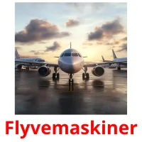 Flyvemaskiner Bildkarteikarten