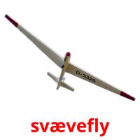 svævefly picture flashcards
