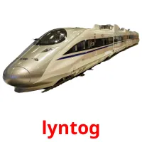 lyntog Bildkarteikarten