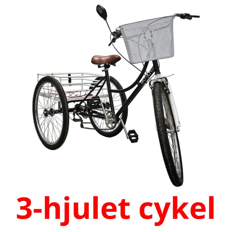 3-hjulet cykel Tarjetas didacticas