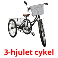 3-hjulet cykel Tarjetas didacticas