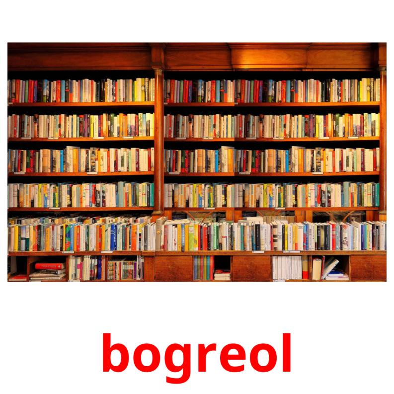 bogreol picture flashcards