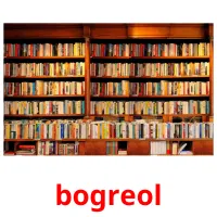 bogreol flashcards illustrate