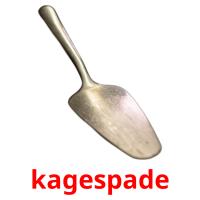 kagespade picture flashcards