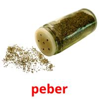 peber flashcards illustrate