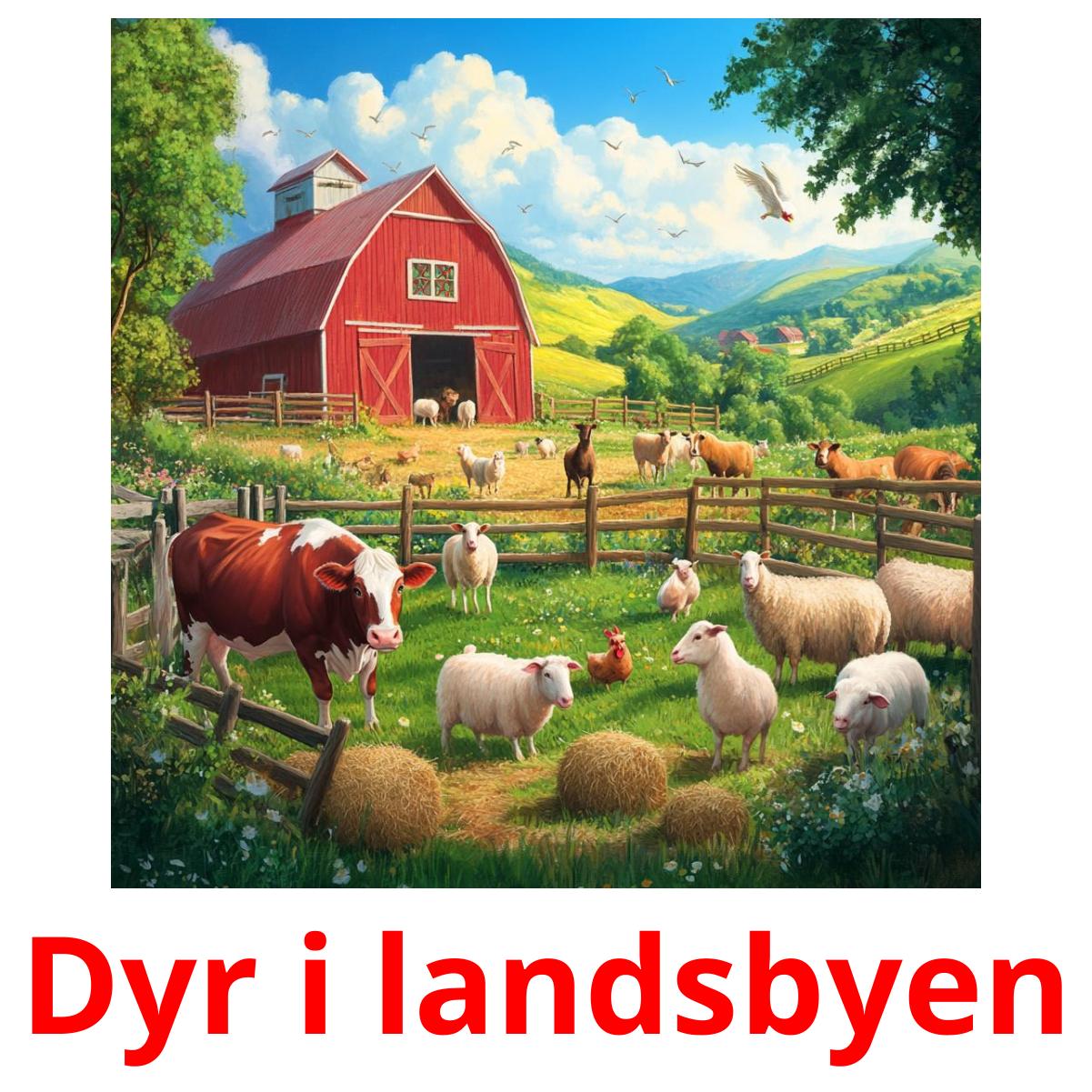 Dyr i landsbyen Bildkarteikarten