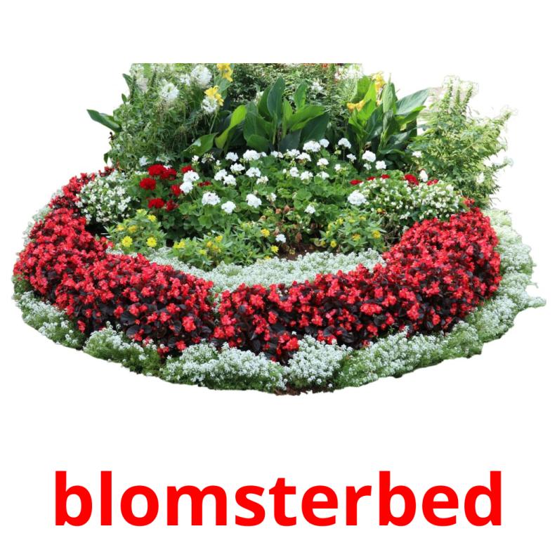 blomsterbed picture flashcards