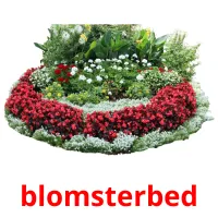 blomsterbed flashcards illustrate