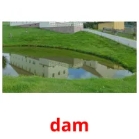 dam flashcards illustrate