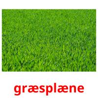 græsplæne picture flashcards