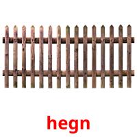 hegn picture flashcards