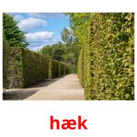 hæk picture flashcards