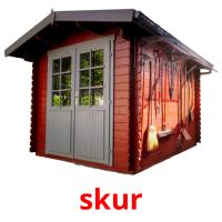 skur picture flashcards