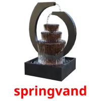 springvand flashcards illustrate