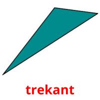 trekant picture flashcards