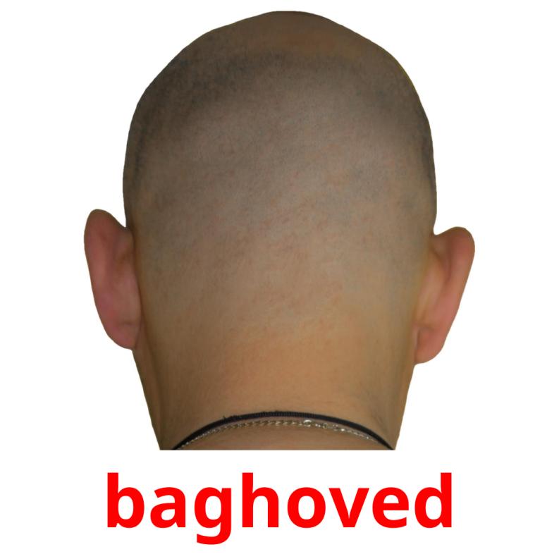 baghoved picture flashcards