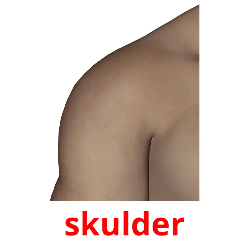 26 FREE Body Parts Flashcards in 4 PDF formats Dansk Pictures