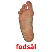 fodsål flashcards illustrate