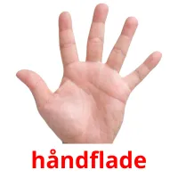 håndflade flashcards illustrate