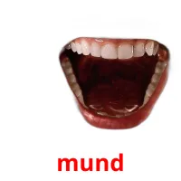 mund flashcards illustrate