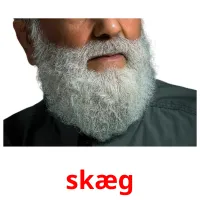 skæg flashcards illustrate