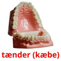 tænder (kæbe) card for translate