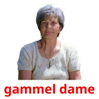 gammel dame flashcards illustrate