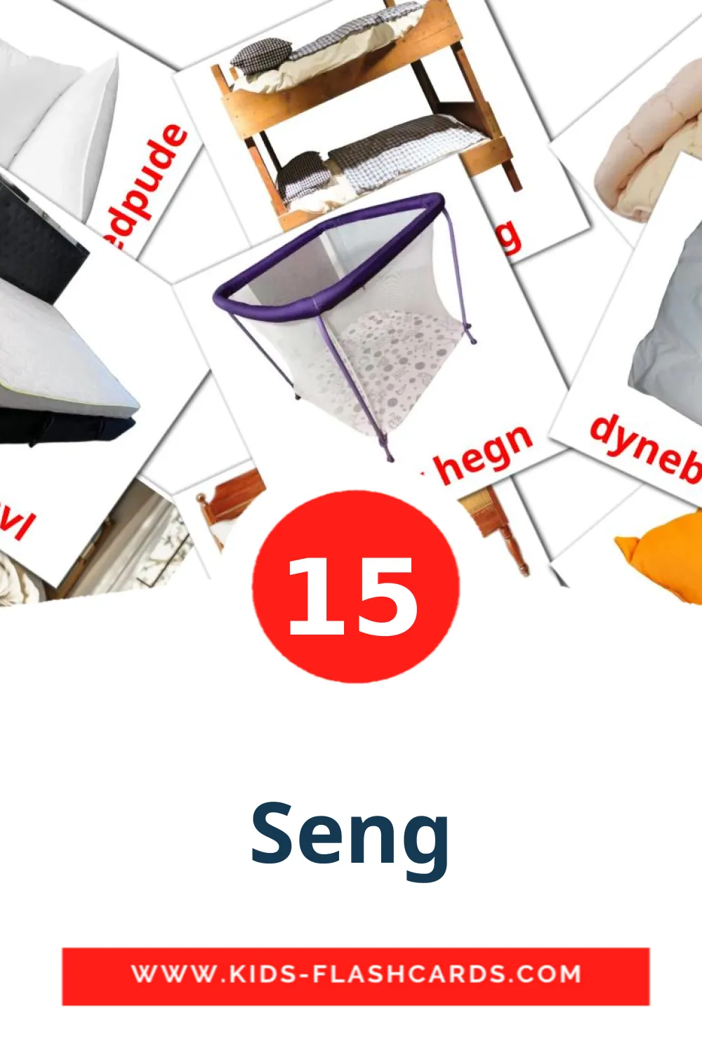 15 Seng Picture Cards for Kindergarden in dansk