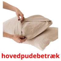 hovedpudebetræk picture flashcards