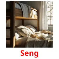 Seng picture flashcards