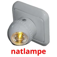 natlampe picture flashcards