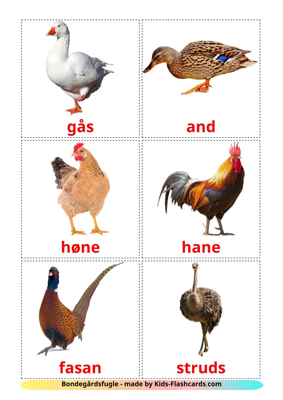 Farm birds - 11 Free Printable dansk Flashcards 