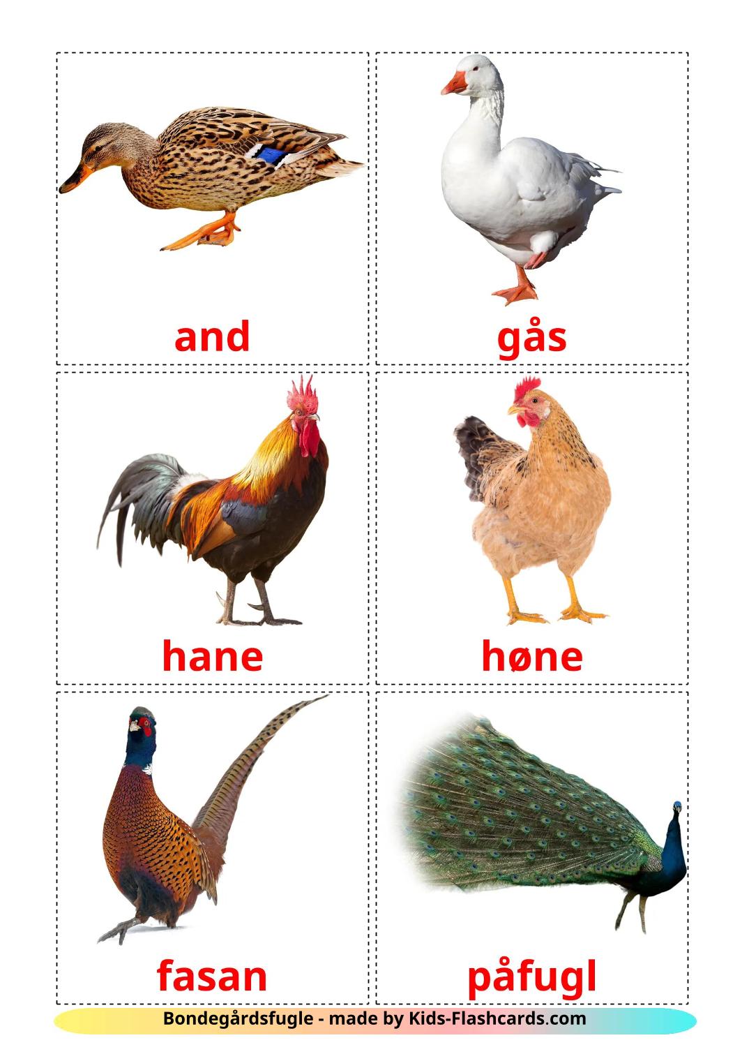 Aves da Quinta - 12 Flashcards danskes gratuitos para impressão