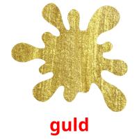guld picture flashcards