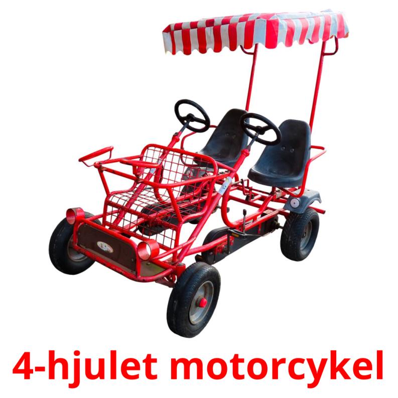 4-hjulet motorcykel Tarjetas didacticas