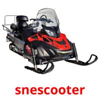 snescooter picture flashcards