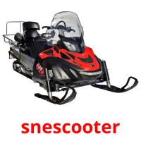 snescooter Bildkarteikarten