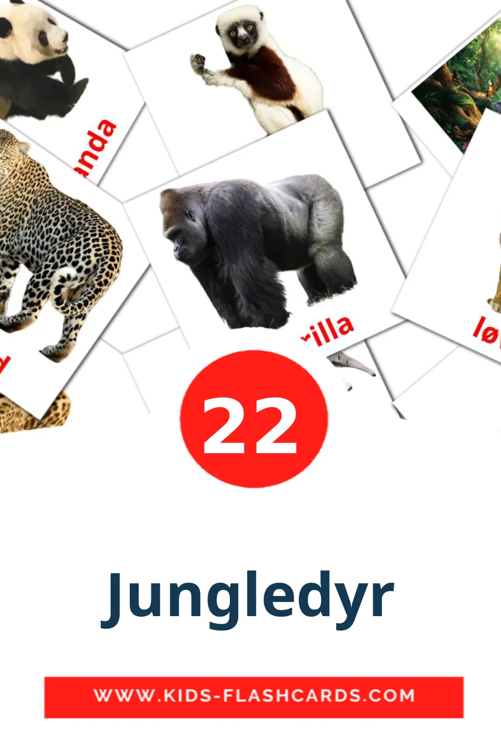 22 Cartões com Imagens de Jungledyr para Jardim de Infância em dansk