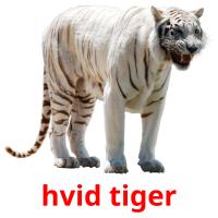 hvid tiger card for translate