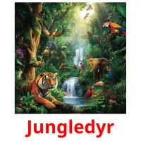 Jungledyr cartões com imagens